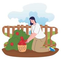 farmer female cultivating tomatoes in the farm vector