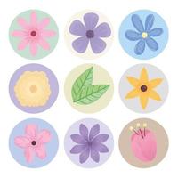 bundle of nine flowers spring season icons vector