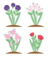 paquete de cuatro flores y hojas de plantas de la temporada de primavera vector