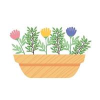 Planta de flores de colores en maceta de cerámica amarilla icono de temporada de primavera vector