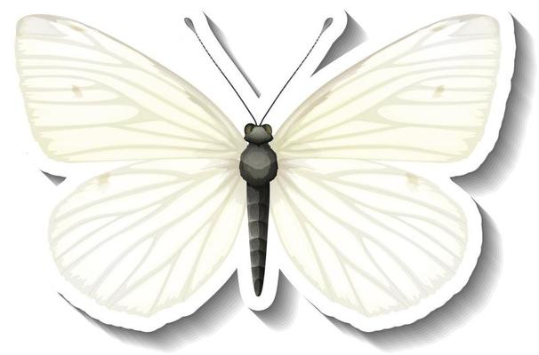 A sticker template with white butterfly isolated