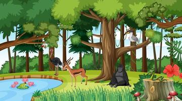 Forest scene with different wild animals vector