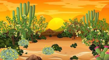 Desert forest landscape at sunset time scene with many cactuses vector