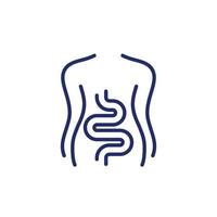 Intestines, colon line icon on white vector