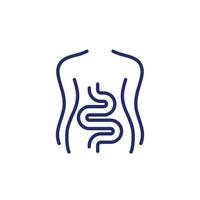 Intestines, colon line icon on white vector