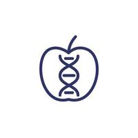 genetically modified apple line icon on white vector