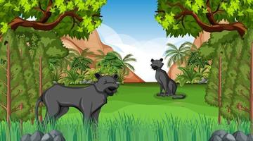 Black panther in forest scene with many trees vector