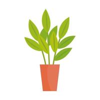 house plant in ceramic pot in orange color isolated icon vector