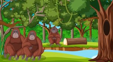 orangután en el bosque o la escena de la selva tropical con muchos árboles vector