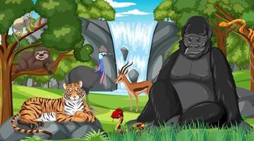gorila con otros animales salvajes en el bosque o la escena de la selva tropical vector