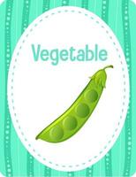 Vocabulary flashcard with word Vegetable vector