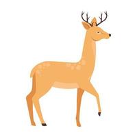 deer african animal wild character vector