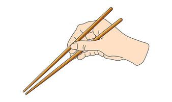 Hand holding sushi sticks for rolls. Scheme how to keep use asian chinese japan chopsticks position instruction. Vector illustration isolated on white background