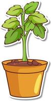Sticker design with plant in a pot isolated vector