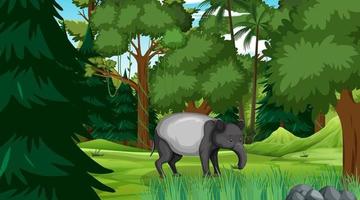 An aardvark in forest scene with many trees vector