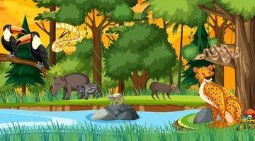 Forest at sunset time scene with different wild animals vector