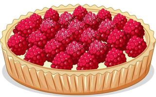 Close up view of Rasberry pie isolated on white background vector