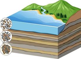 Diagram showing process of compaction to cementation in layers vector