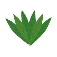 leaves icon isolated vector design