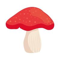 fungi mushroom isolated vector design