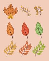 happy thanksgiving celebration card with bundle set leafs vector