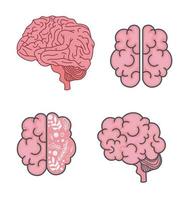 cerebro, icono, conjunto, vector, diseño vector