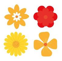 set of cute flowers naturals in white background vector