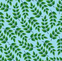 background of branches and leafs naturals vector