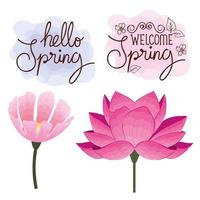 set cards of hello spring with flowers decoration vector