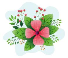 decoration of flowers pink color with branches and leafs vector