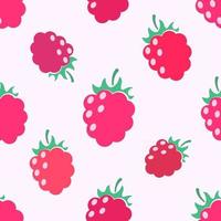 Rasberry seamless pattern vector