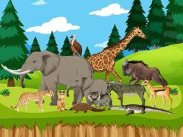 Grupo de animales salvajes africanos en la escena del bosque vector