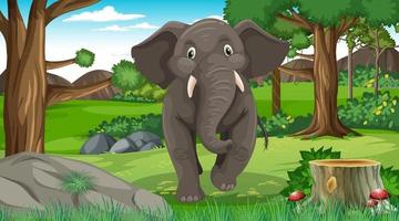 elefante en el bosque o la escena de la selva tropical con muchos árboles vector