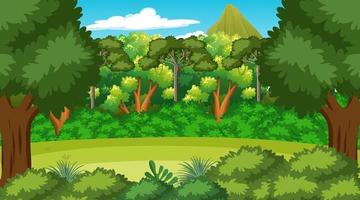 Forest scene with various forest trees vector