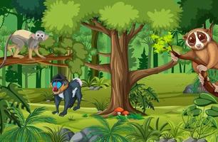 Escena de la selva tropical con varios animales salvajes. vector