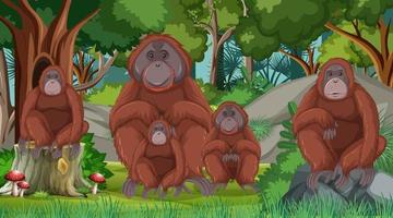 orangután en el bosque o la escena de la selva tropical con muchos árboles vector