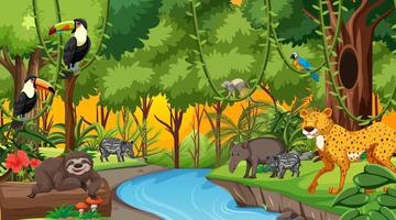 Forest at sunset time scene with different wild animals vector