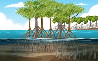 Nature scene with mangrove forest in cartoon style vector