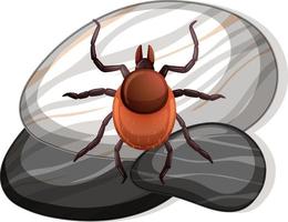 Top view of tick on a stone on white background vector