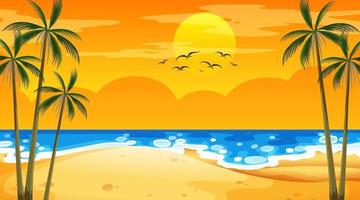 Beach at sunset time landscape scene with palm trees vector