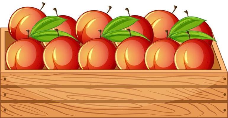 Many peaches in wooden crate isolated on white background