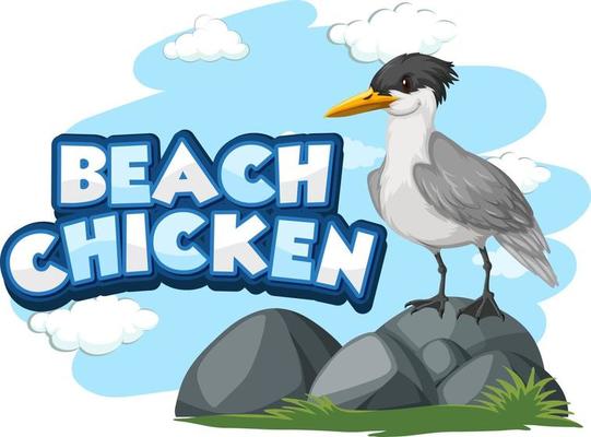 Seagull bird cartoon character with Beach Chicken font banner isolated