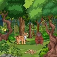 Forest scene with different wild animals vector