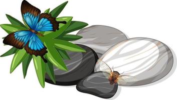 Top view of butterfly and bee on stones leaf isolated vector