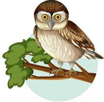 Elf owl standing on branch in cartoon style isolated on white background vector