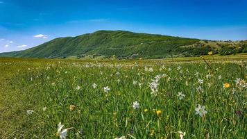 Mountain and sunny day photo