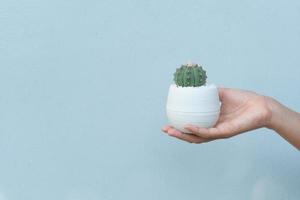 Woman holding a cactus on blue background photo
