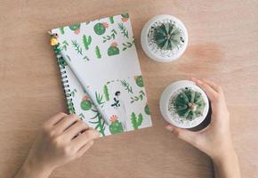 Desk top with cactus and cactus themed notebook photo