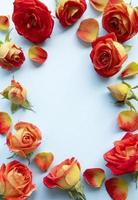 Flowers composition. Frame made of red  roses and leaves on blue background