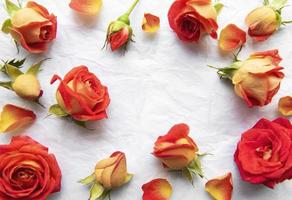 composición de flores. Bastidor de rosas rojas y hojas sobre papel blanco. foto